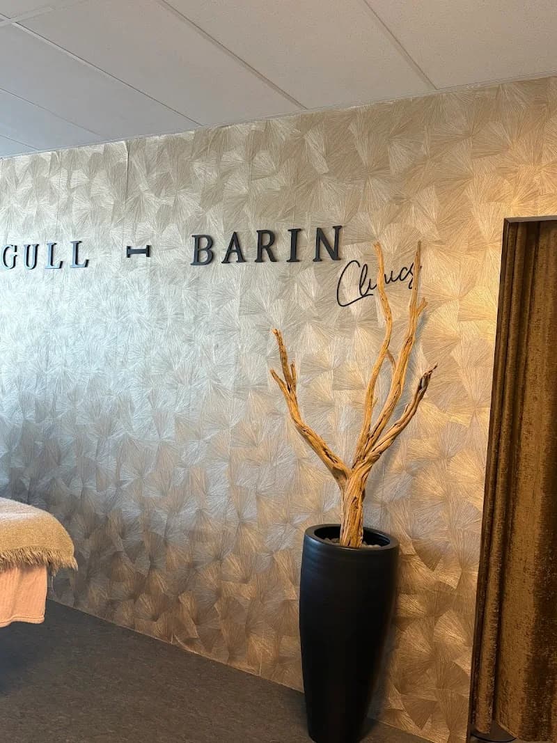 Gull-Barin - Amersfoort