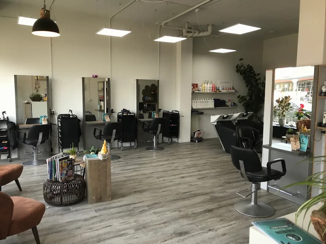 Hairin by Roots