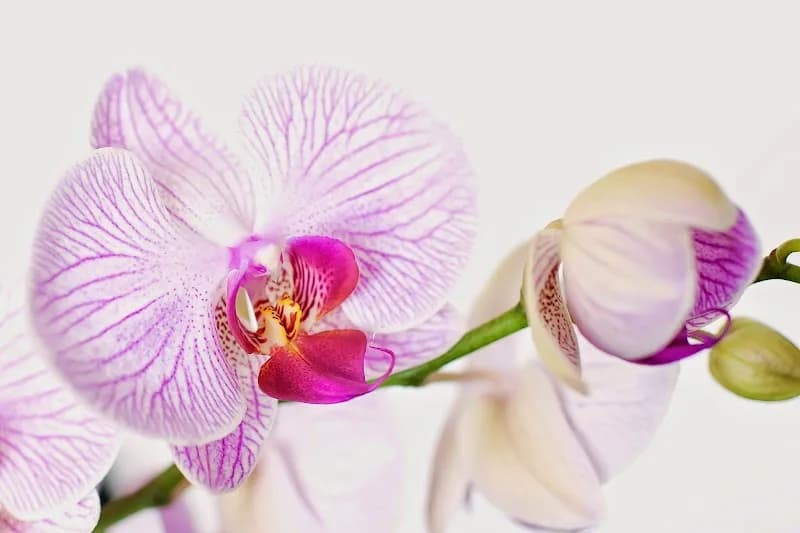 Foto van Beauty Treatment