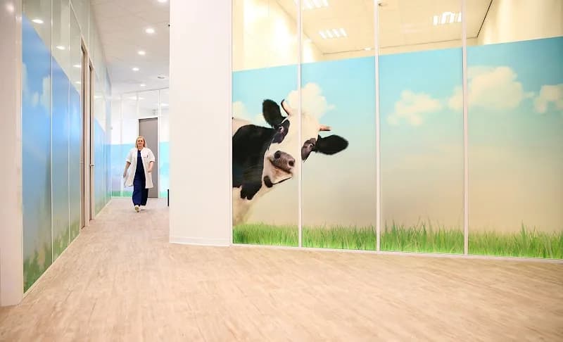 Bergman Clinics Eindhoven - Eindhoven
