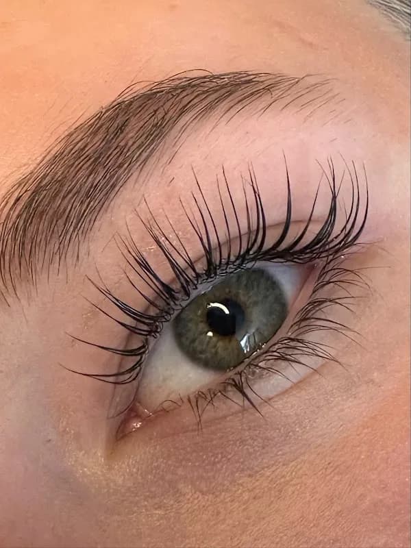 BLSH brows