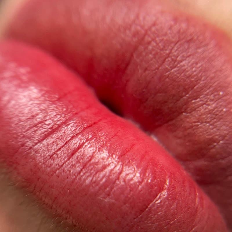 Brows Rotterdam - Rotterdam