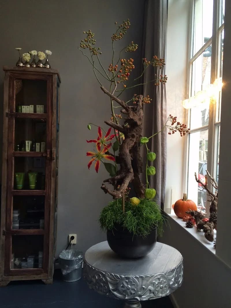 Cau d'Art - Leiden