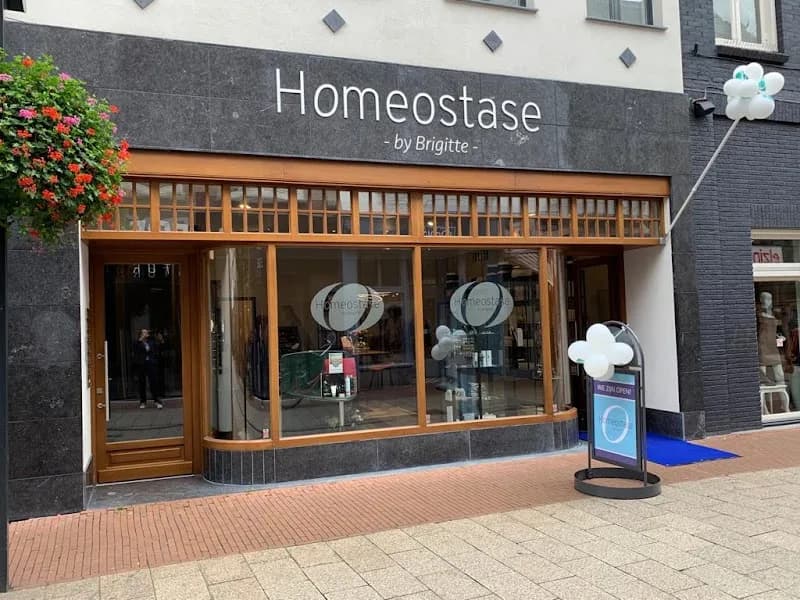 Homeostase - by Brigitte - - Enschede