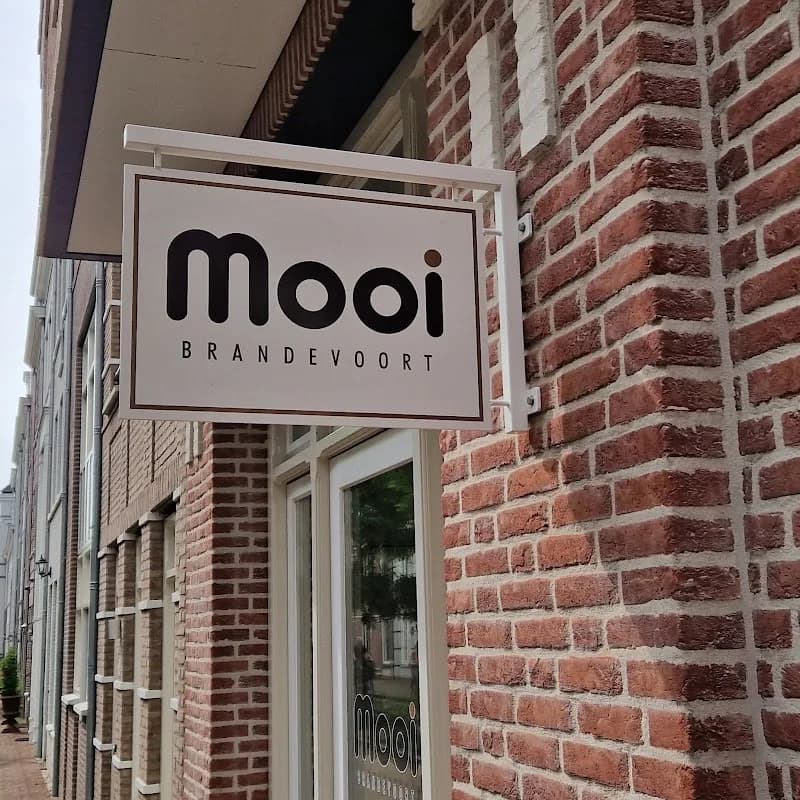 Mooi Brandevoort en Haarstudio de Veste