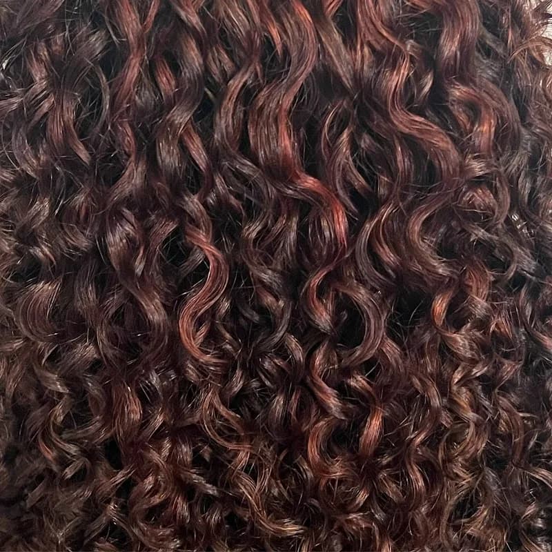 Myhairbysi : de krullenkapper van Zeeland