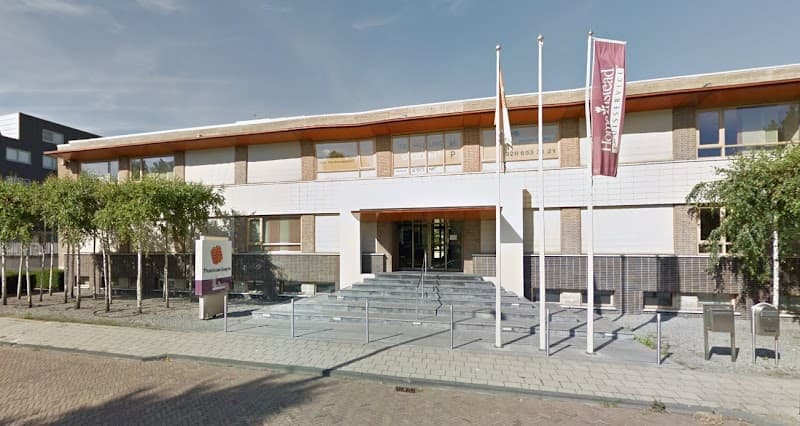 Professional Podotherapie - Heemstede - Heemstede