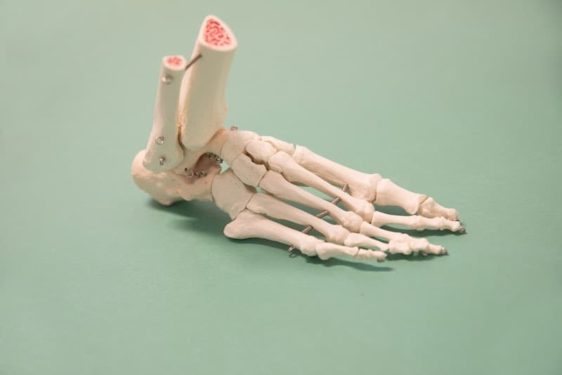 Wijnia Podologie en Sportpodologie Leiden - Leiden