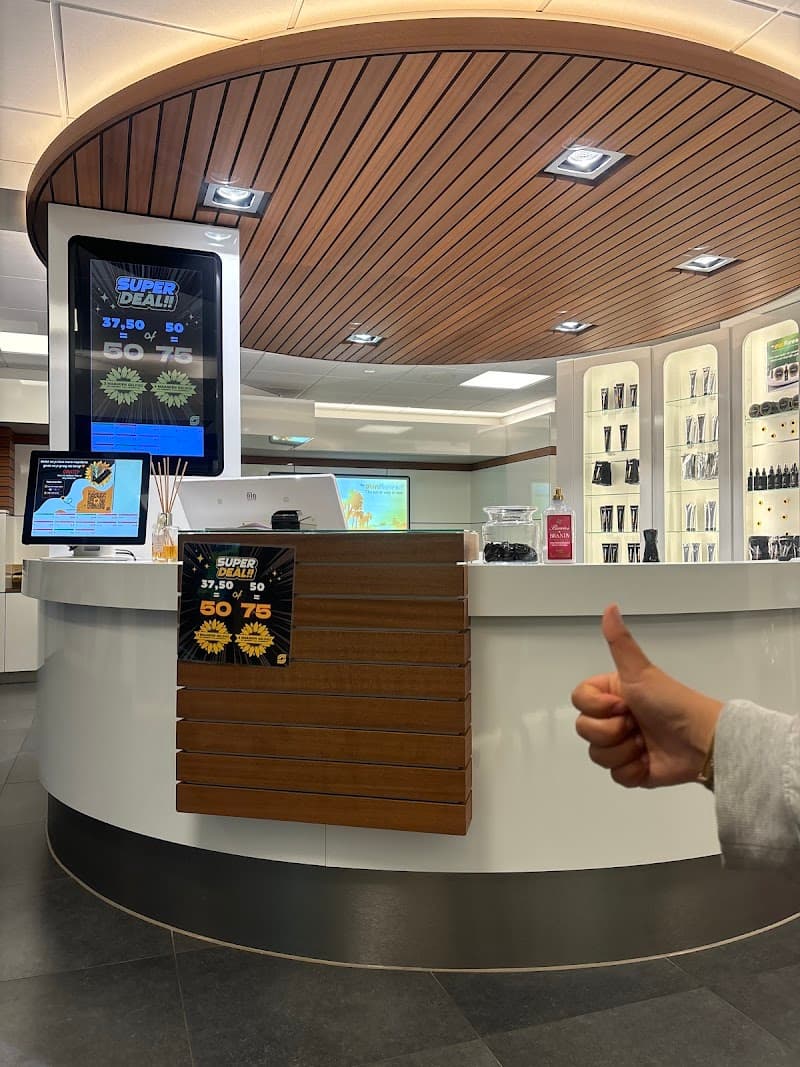 Zonnestudio The Sunflower Zuid - Amsterdam